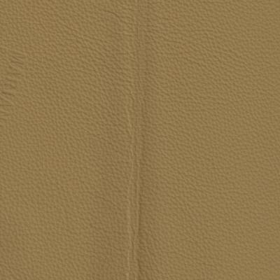 Piel Tauro Capuccino