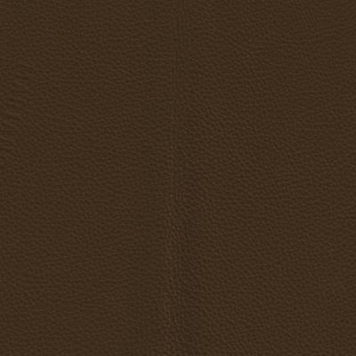 Piel Tauro Chocolate