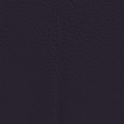 Piel Tauro Viola