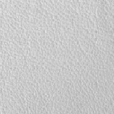 Capitone Blanca
