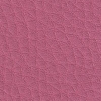 Fuxia